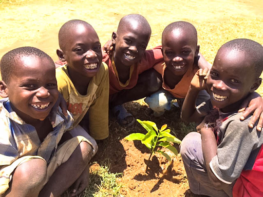 uganda-fruit-trees-01